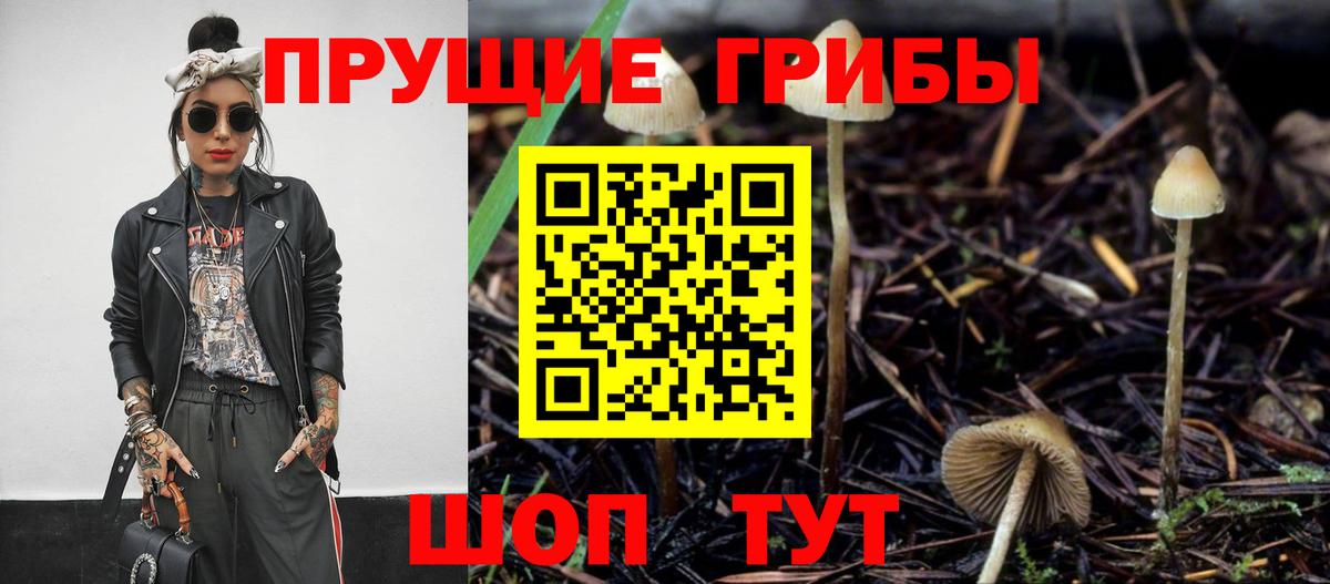 Печора  цена наркотик  Вход с VPN  Псилоцибиновые грибы MAGIC MUSHROOMS 